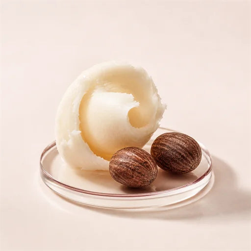 Shea butter and shea nut ingredient visual